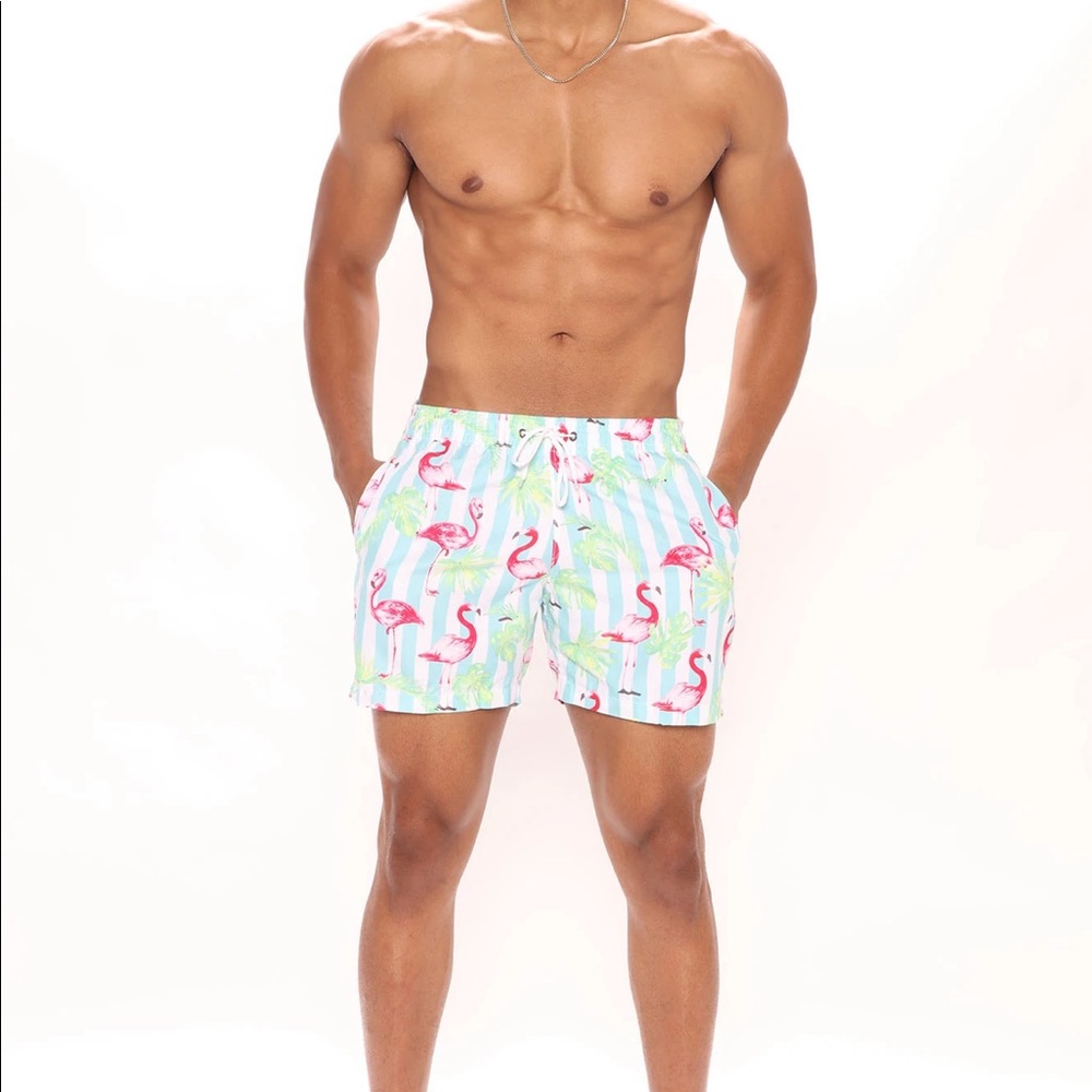 Flamingo Striped Swim Trunks - Blue/combo